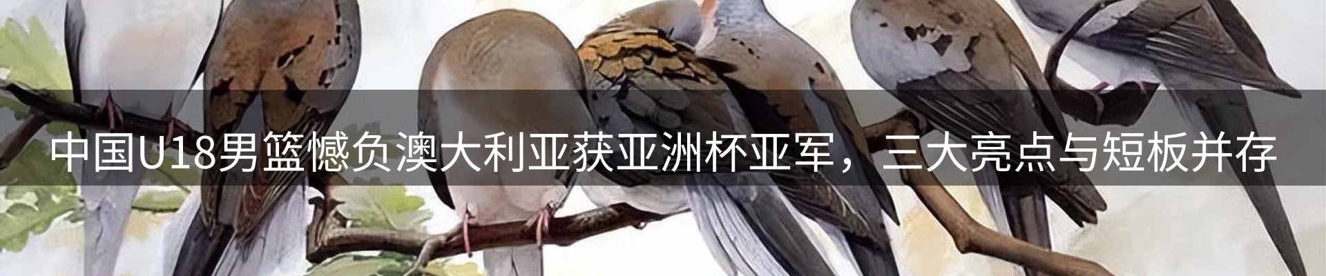 行业资讯