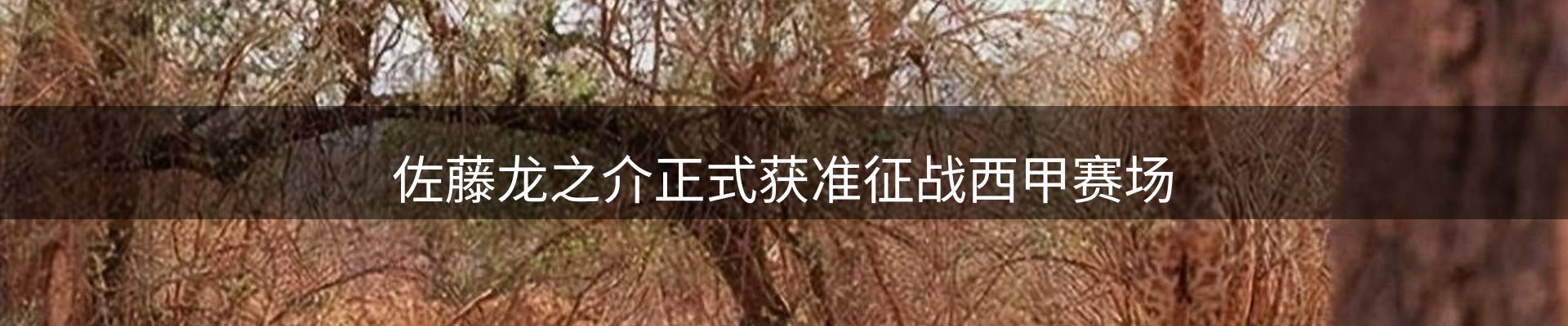 行业资讯