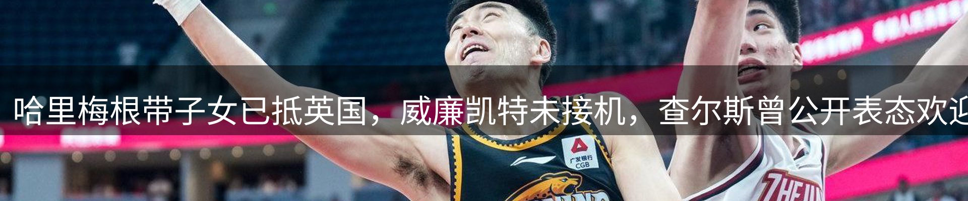 焦点动态